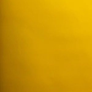 BAGUN AMARELO 9677