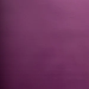 BAGUN LILAS 912