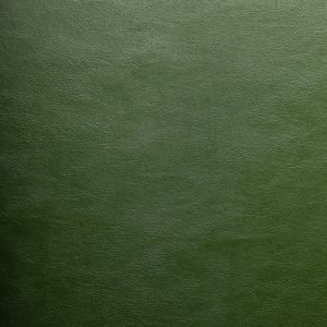 CASCO VERDE 1581