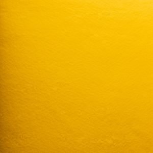 COROPRIME AMARELO 5625