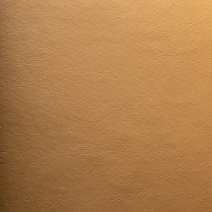 COROPRIME AMARELO MOSTARDA 6901