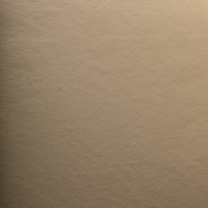 COROPRIME BEGE 5629