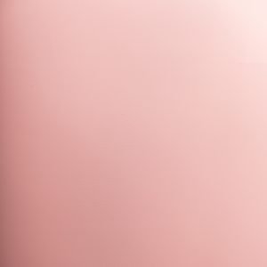 LISBOA ROSA 6219